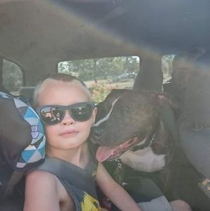 Meet your Posher, Harley